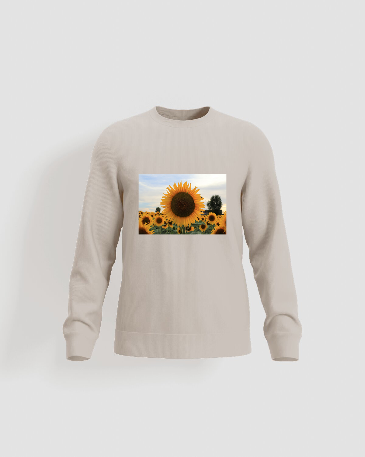 Cream Unisex Sweatshirt Classic Comfort 59
