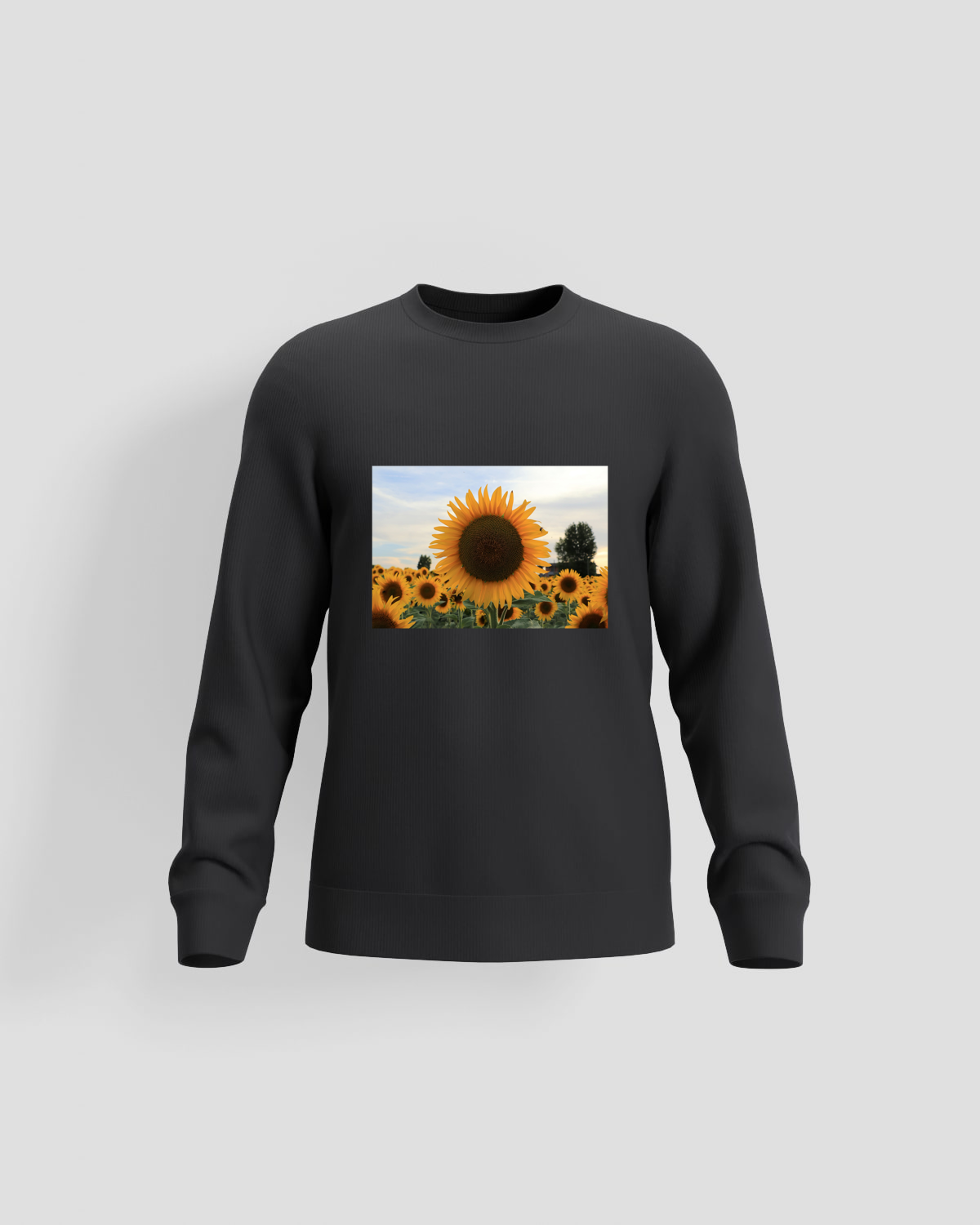 Black Brushed Organic Cotton Premium Sweatshirt 59