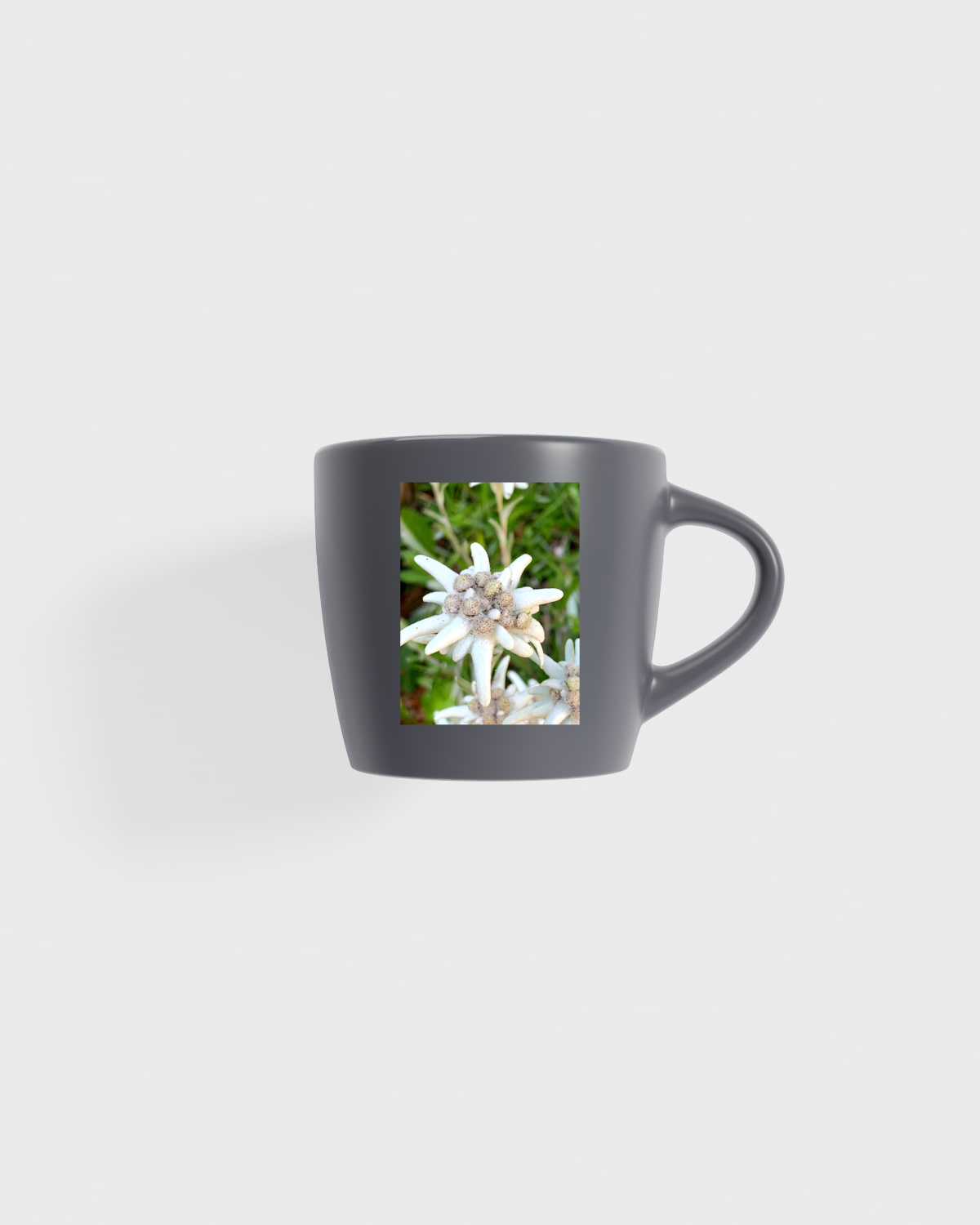Matte Exterior Ceramic Mug with Glossy Interior 59