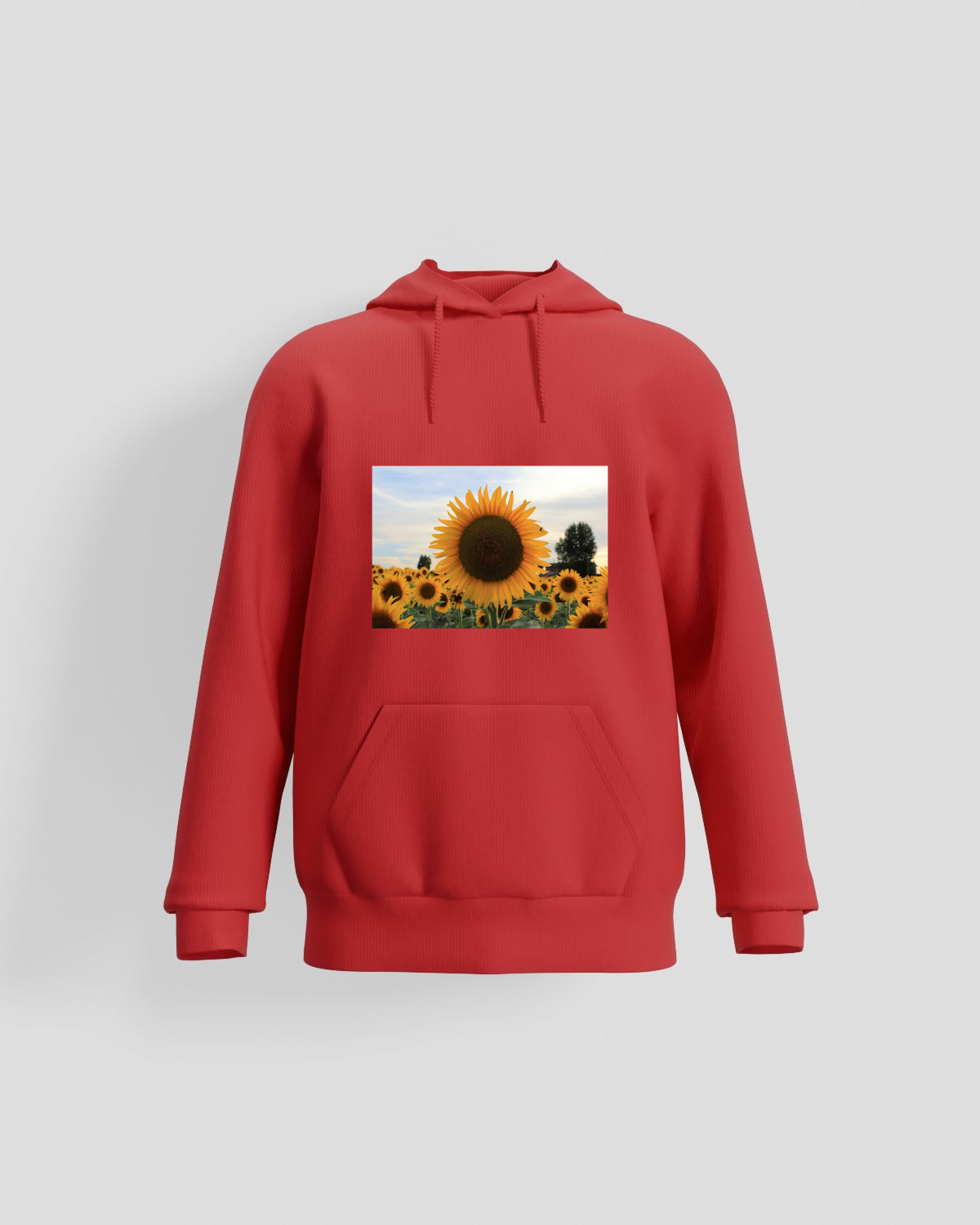 Red Brushed Organic Sweatshirt 59