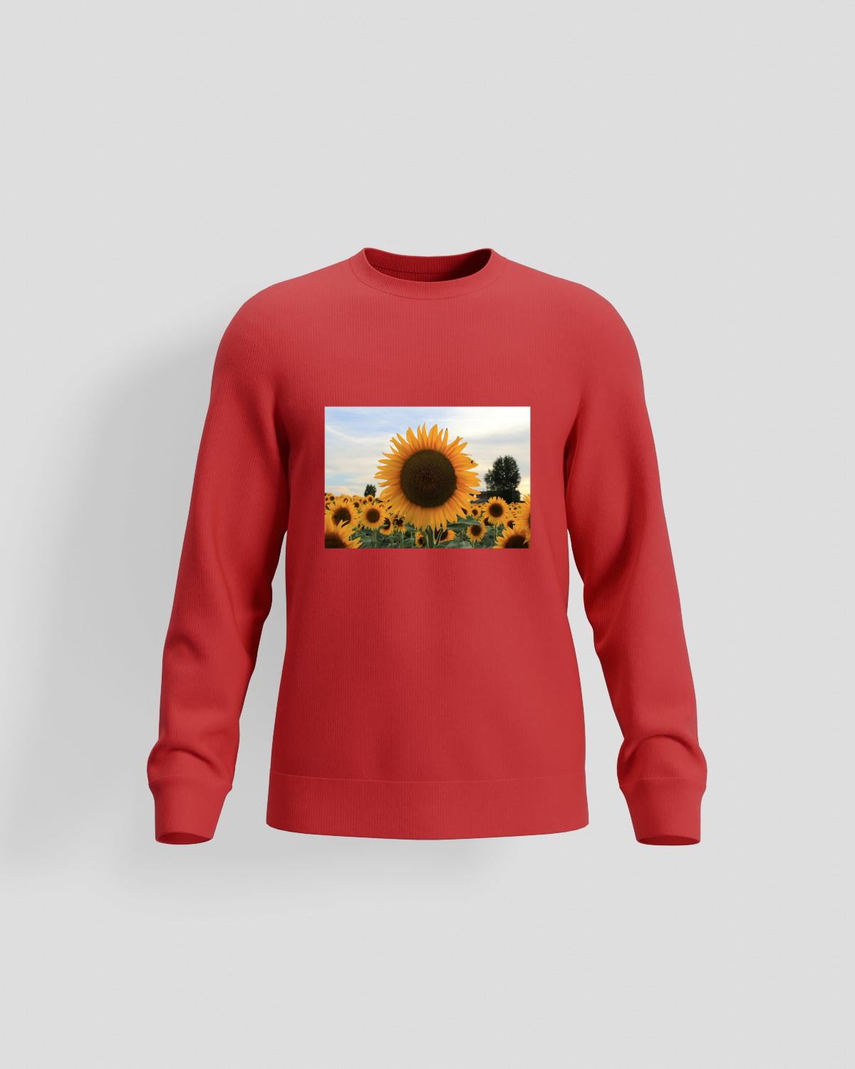 Red Brushed Organic Sweatshirt 59