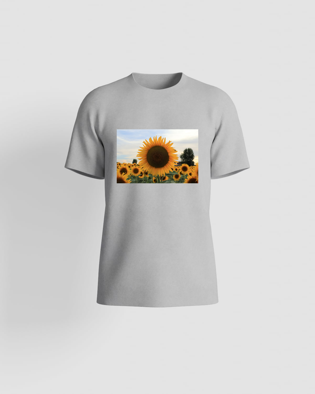 Grey T-Shirt – 100% Organic Cotton, Modern Fit 59