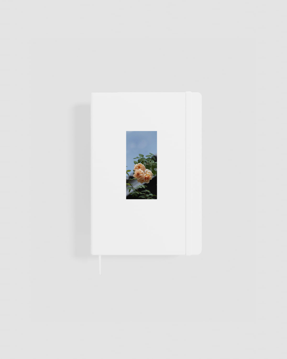 Unique Notebook with Bold Graphic Cover