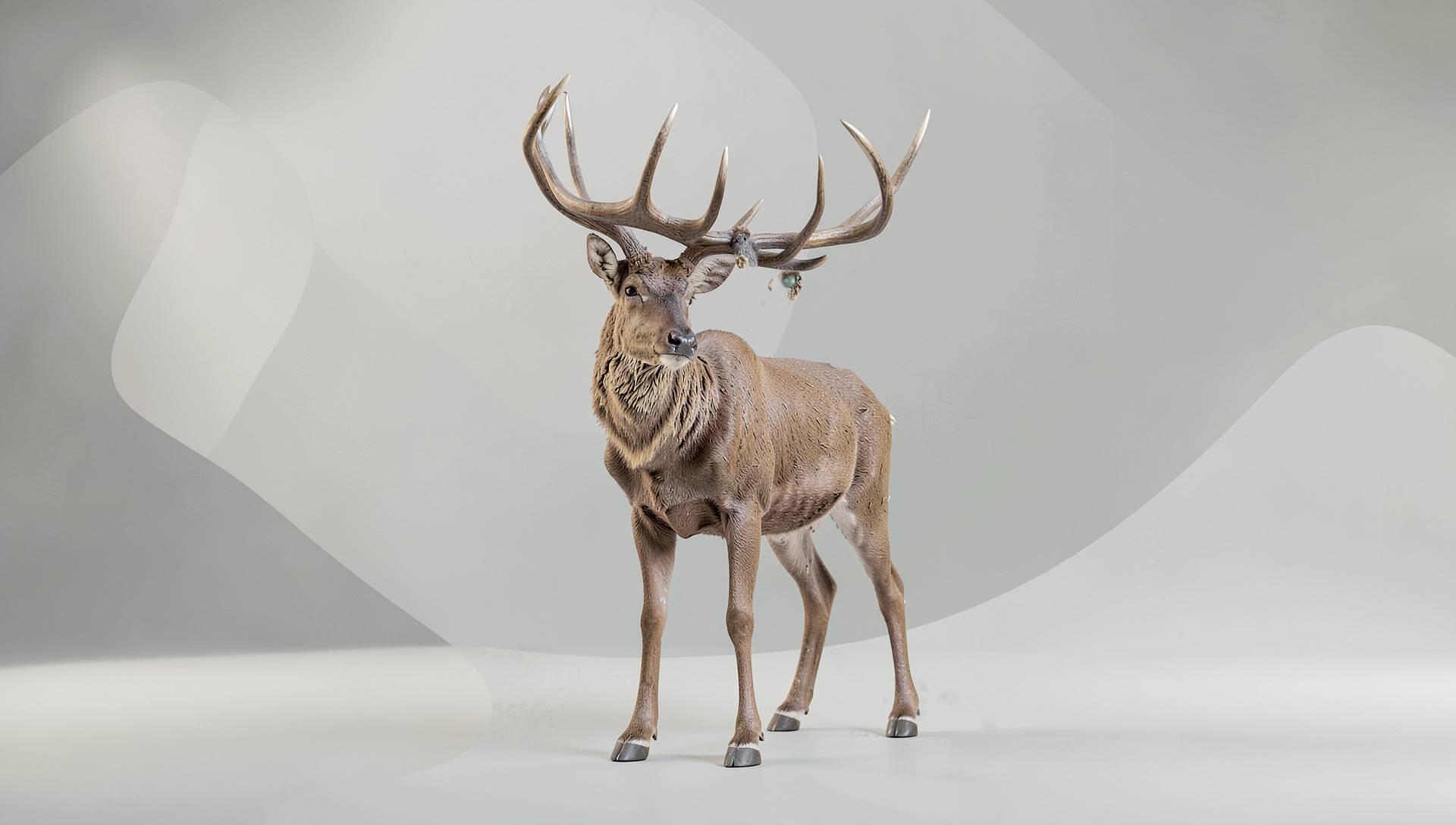 Shop background image