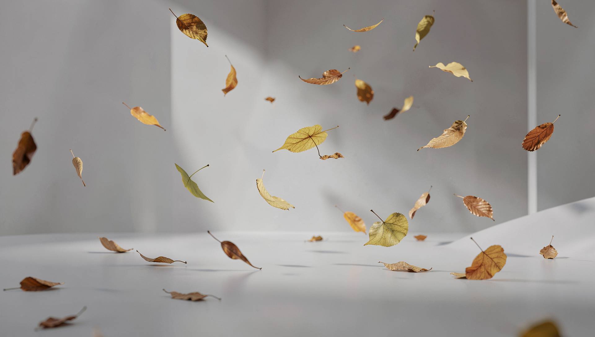 Shop background image
