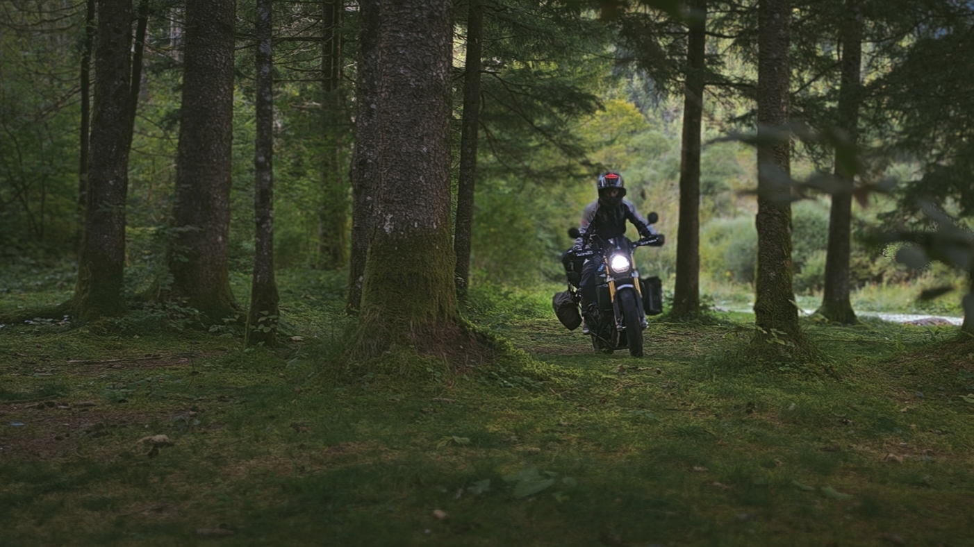 Shop background image
