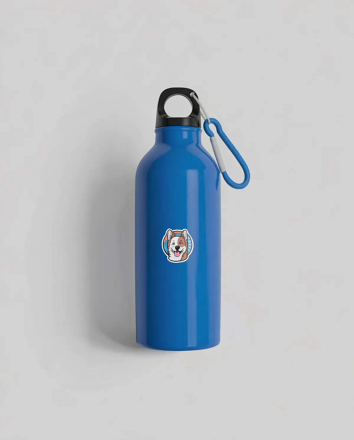 Custom Color Recycled Aluminum Water Bottle with Carabiner Screw Cap