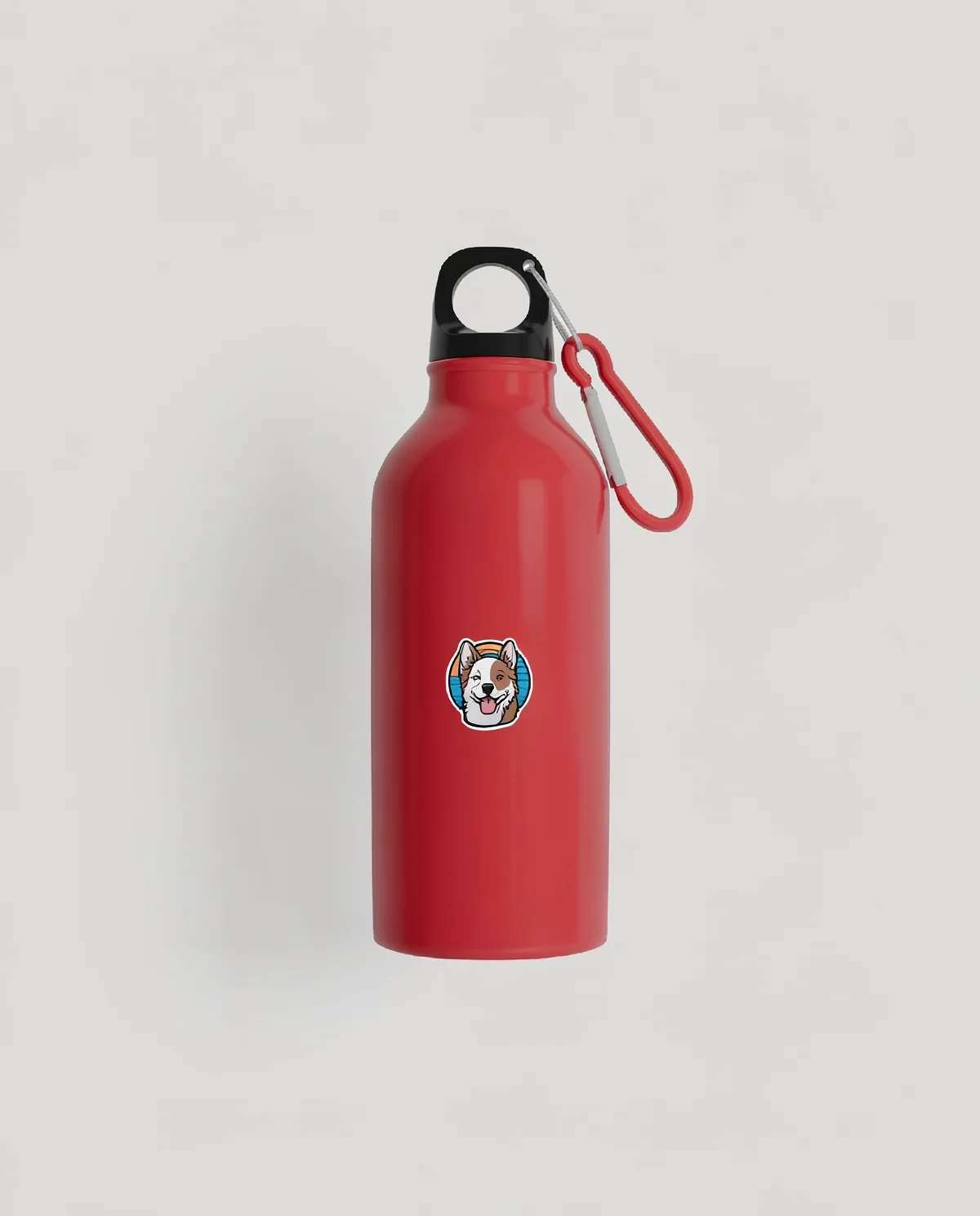 Eco-Friendly Recycled Aluminum Water Bottle with Carabiner 0