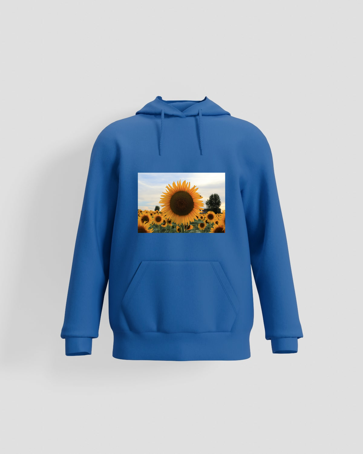 Blue Organic Brushed Sweatshirt 59