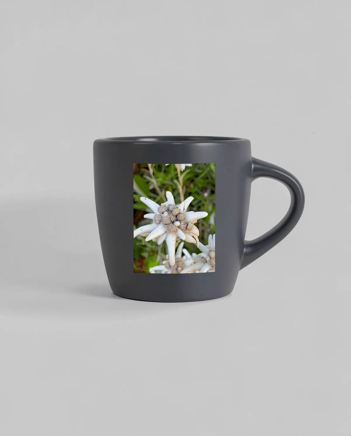 Matte Exterior Ceramic Mug with Glossy Interior 0
