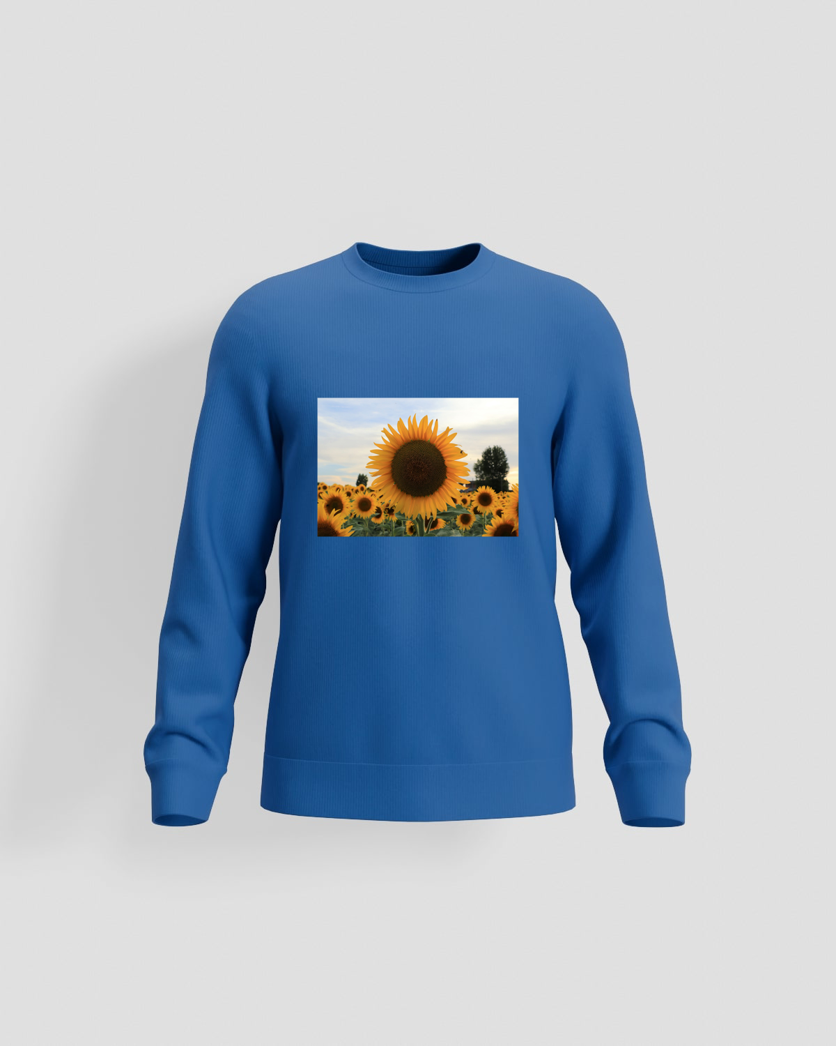 Blue Brushed Organic Sweatshirt 59