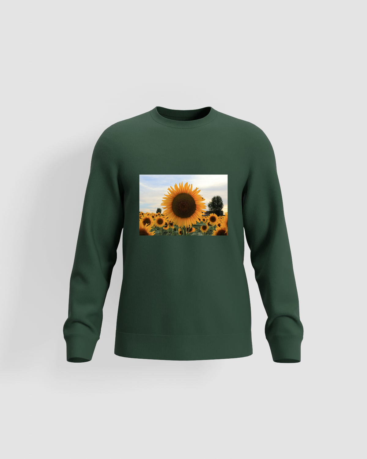 Green Organic Cotton Sweatshirt with Brushed Fabric 59