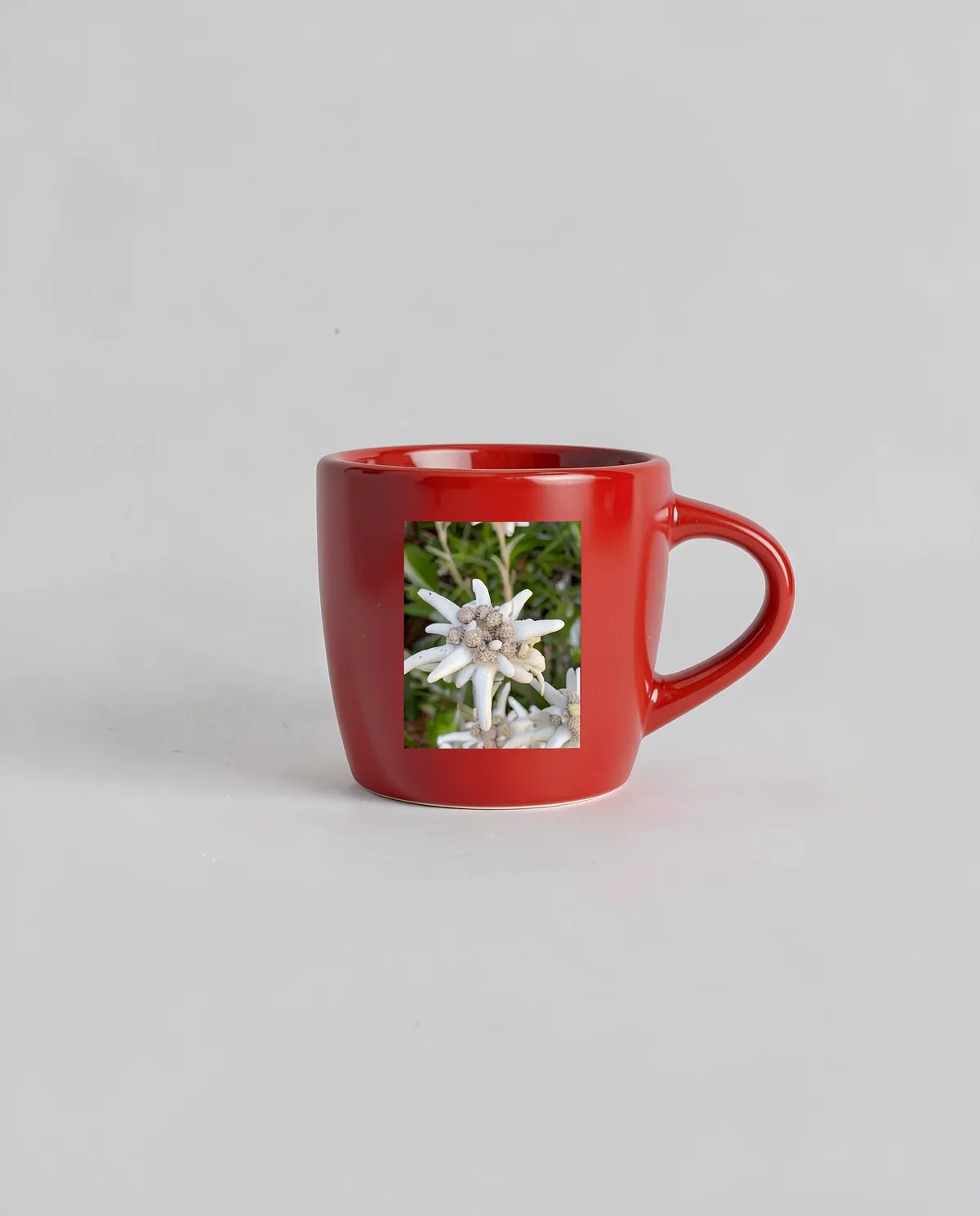 Matte Exterior Ceramic Mug with Glossy Interior 0