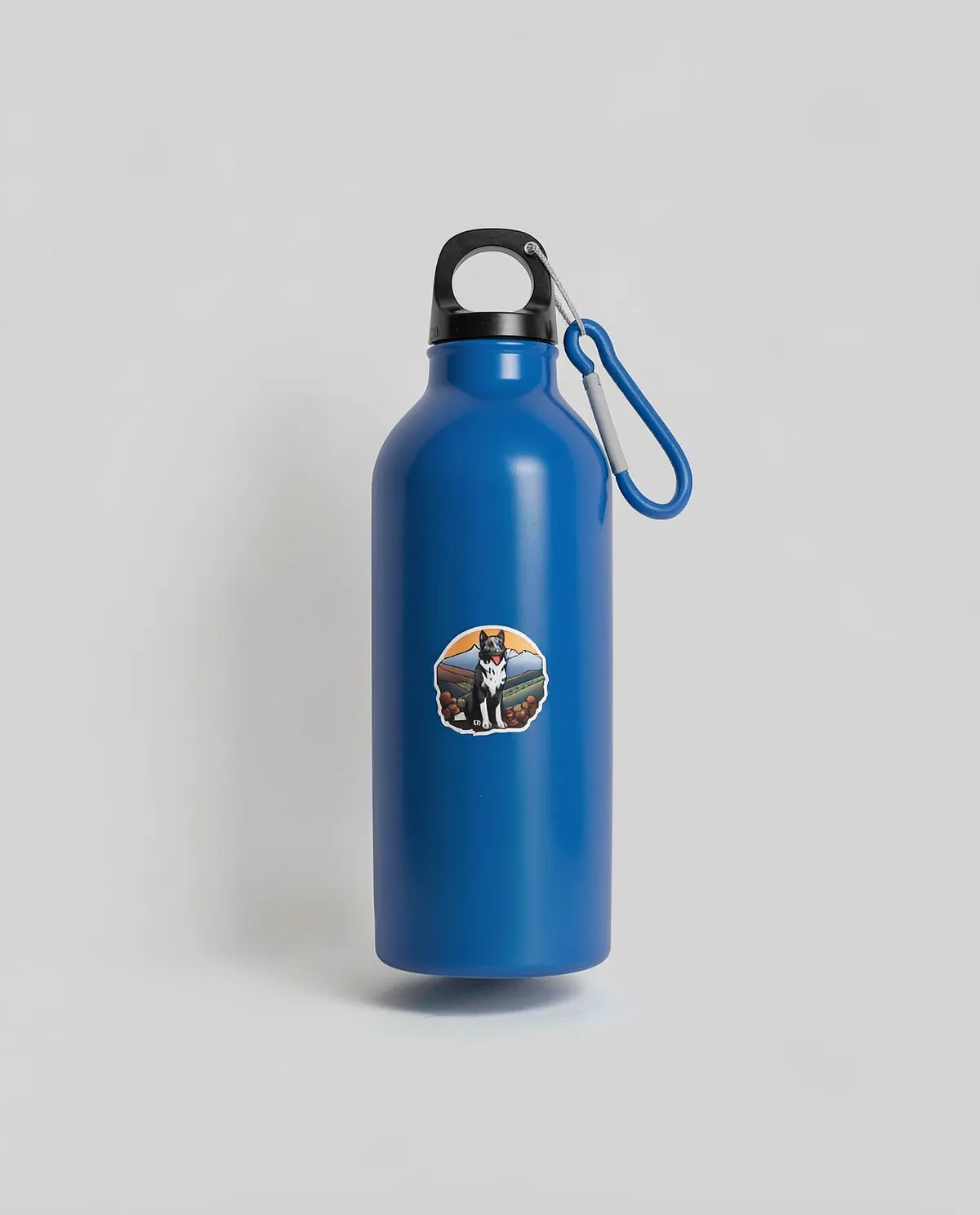 Recycled Aluminum Water Bottle with Metal Carabiner 0