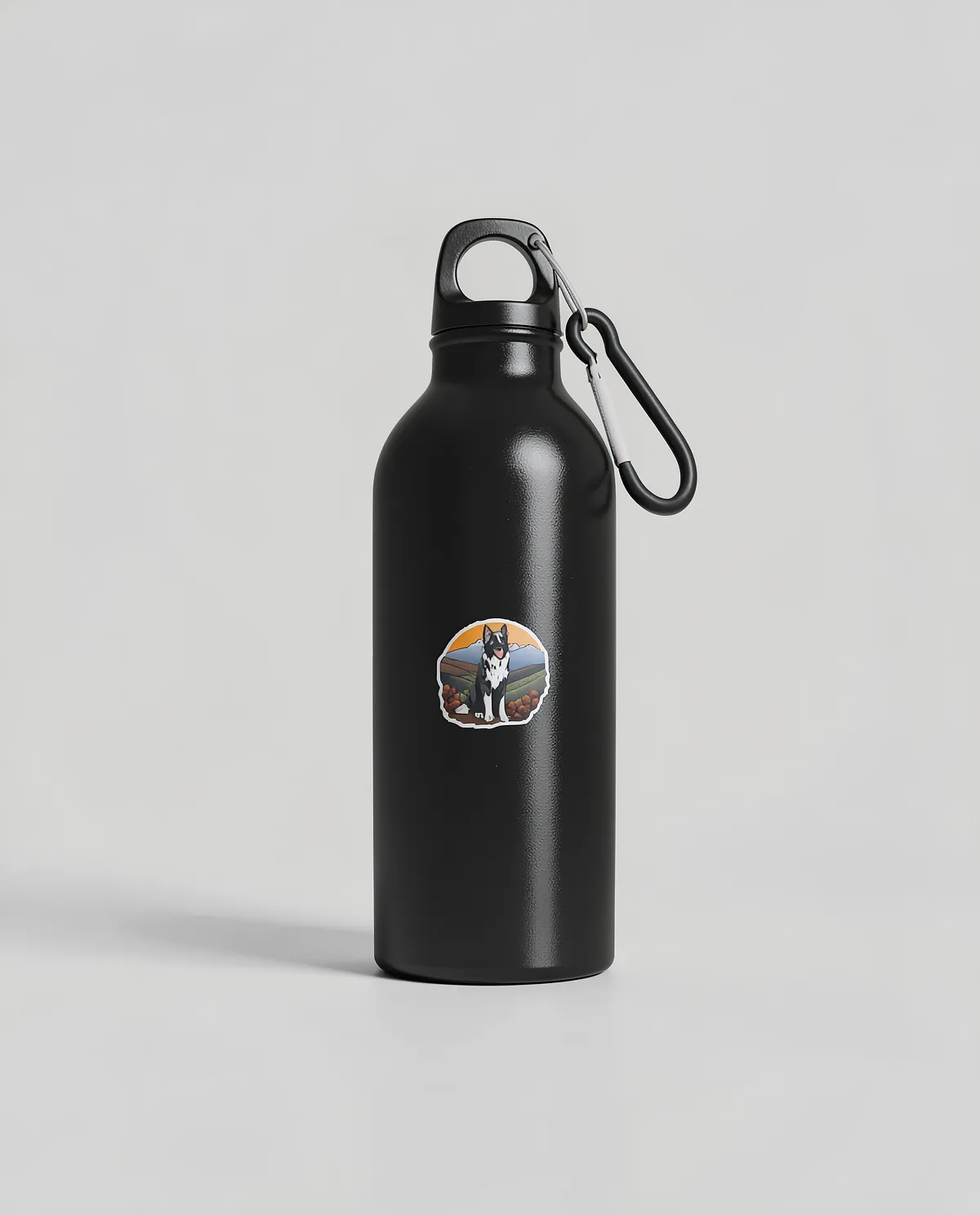 Eco-Friendly Aluminum Water Bottle with Carabiner Clip 0