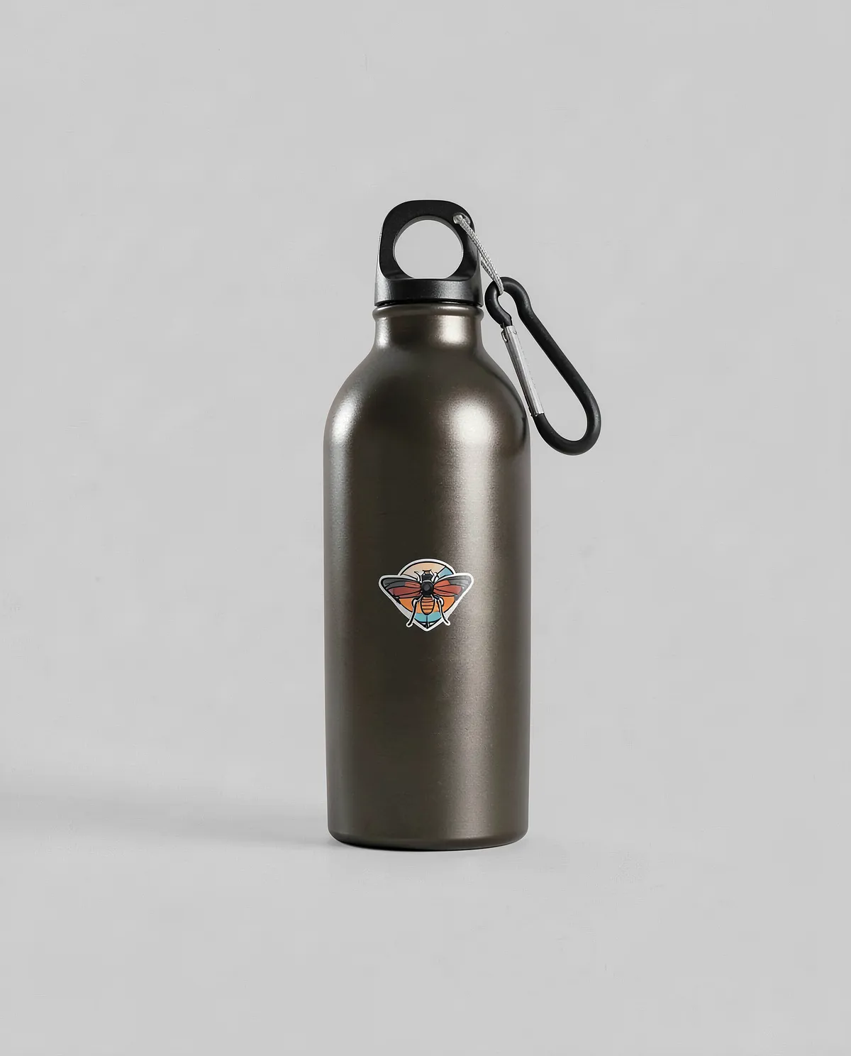 Recycled Aluminum Water Bottle with Carabiner and Screw Cap 0