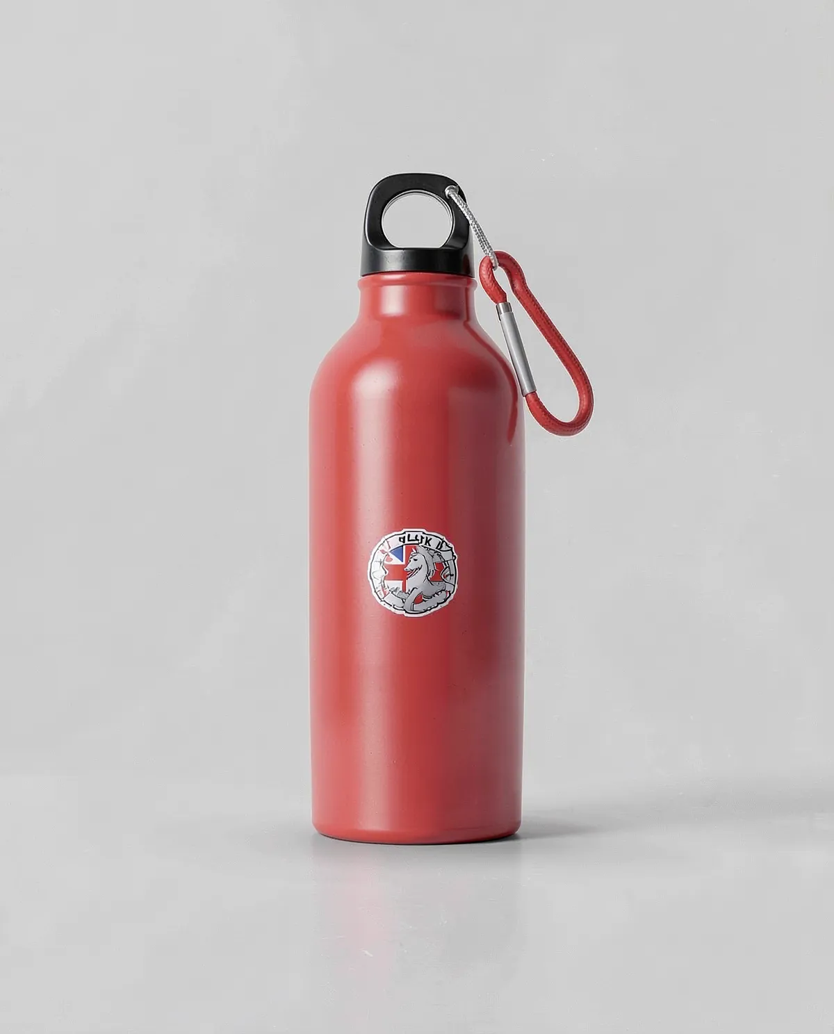 Recycled Aluminum Water Bottle with Metal Carabiner 0